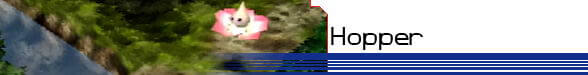 Hopper