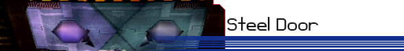 Steel Door