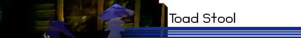 Toad Stool