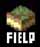 Field